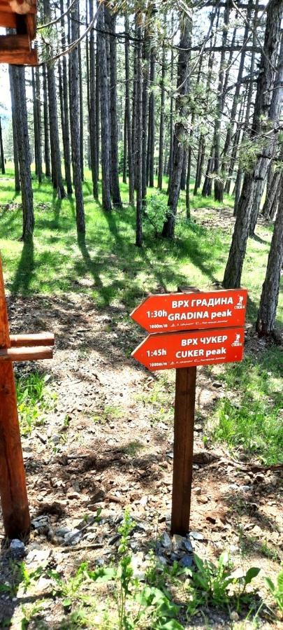Zlatibor Apartman Jagoda מראה חיצוני תמונה